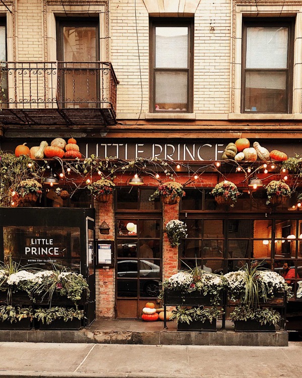 Little Prince in New York